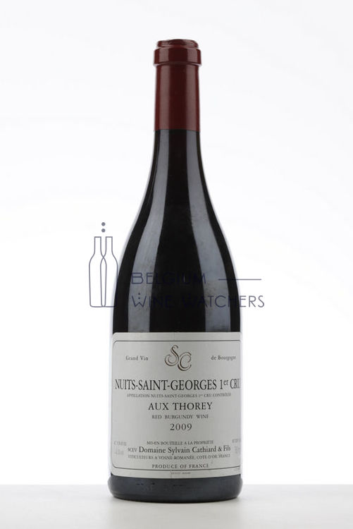 Afbeeldingen van 2009 NUITS ST GEORGES AUX THOREY